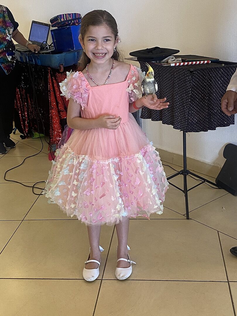 ワンピース LOLA PUFFY DRESS(S) 3D Butterfly Puffy Sleeve Dress