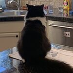Image of Review by Teresa I. on 22 Dec 2022 number 2