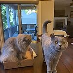 Image of Review by Teresa I. on 22 Dec 2022 number 6