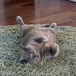 Image of Review by Teresa I. on 22 Dec 2022 number 5