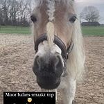 Image of Review by S E. on 31 Dec 2022 number 1