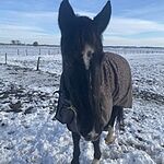 Image of Review by J.M Z. on  9 Mar 2021 number 1