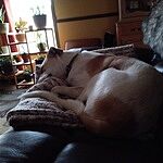 Image of Review by Cathy M. on 31 Mar 2022 number 1
