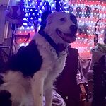 Image of Review by Mark R. on 19 Jun 2021 number 1