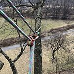 Image of Review by Alexander D. on 27 Feb 2023 number 1