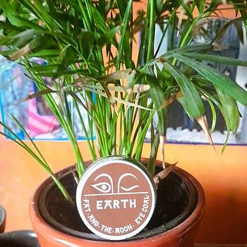 Earth Eye Coal Ecstacy in the Earth