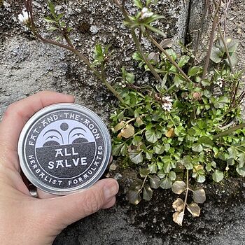 All Salve Multipurpose salve