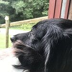 Image of Review by Constance C. on  7 Mar 2023 number 1