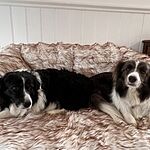 Image of Review by Roslyn K. on  9 Mar 2023 number 1