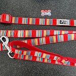 Image of Review by Patricia F. on 16 Mar 2023 number 1