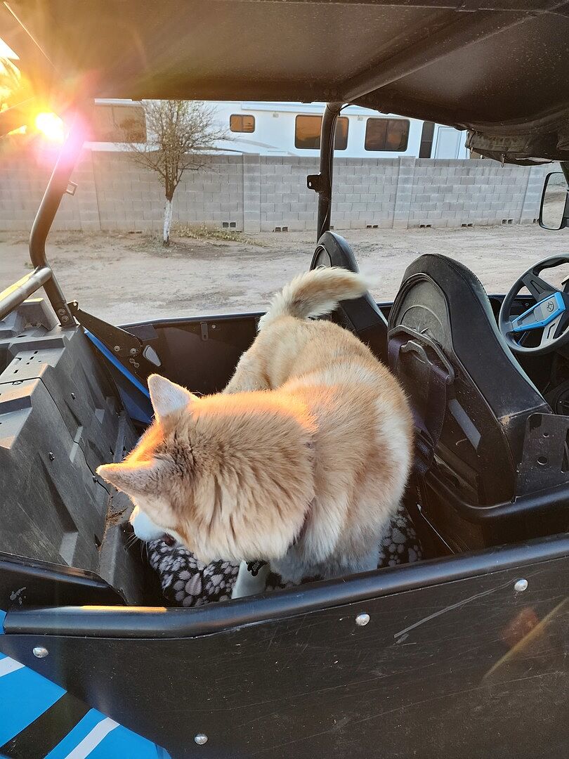 Polaris RZR XP 4 1000 Rear Seat Cargo Rack SuperATV