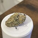 Customer Review Image