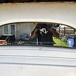 Image of Review by Thomas B. on 24 Mar 2023 number 1