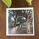 Image of Review by Alicia D. on 27 Mar 2023 number 1
