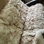 Image of Review by Donna S. on 29 Mar 2023 number 1