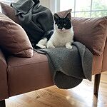 Image of Review by Erin H. on  1 Apr 2023 number 1