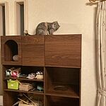 Image of Review by ご利用者様 on  2 Apr 2023 number 1