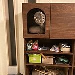 Image of Review by ご利用者様 on  2 Apr 2023 number 2
