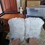 Image of Review by Amanda W. on  5 Apr 2023 number 1