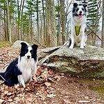 Image of Review by Sandra H. on  6 Apr 2023 number 1