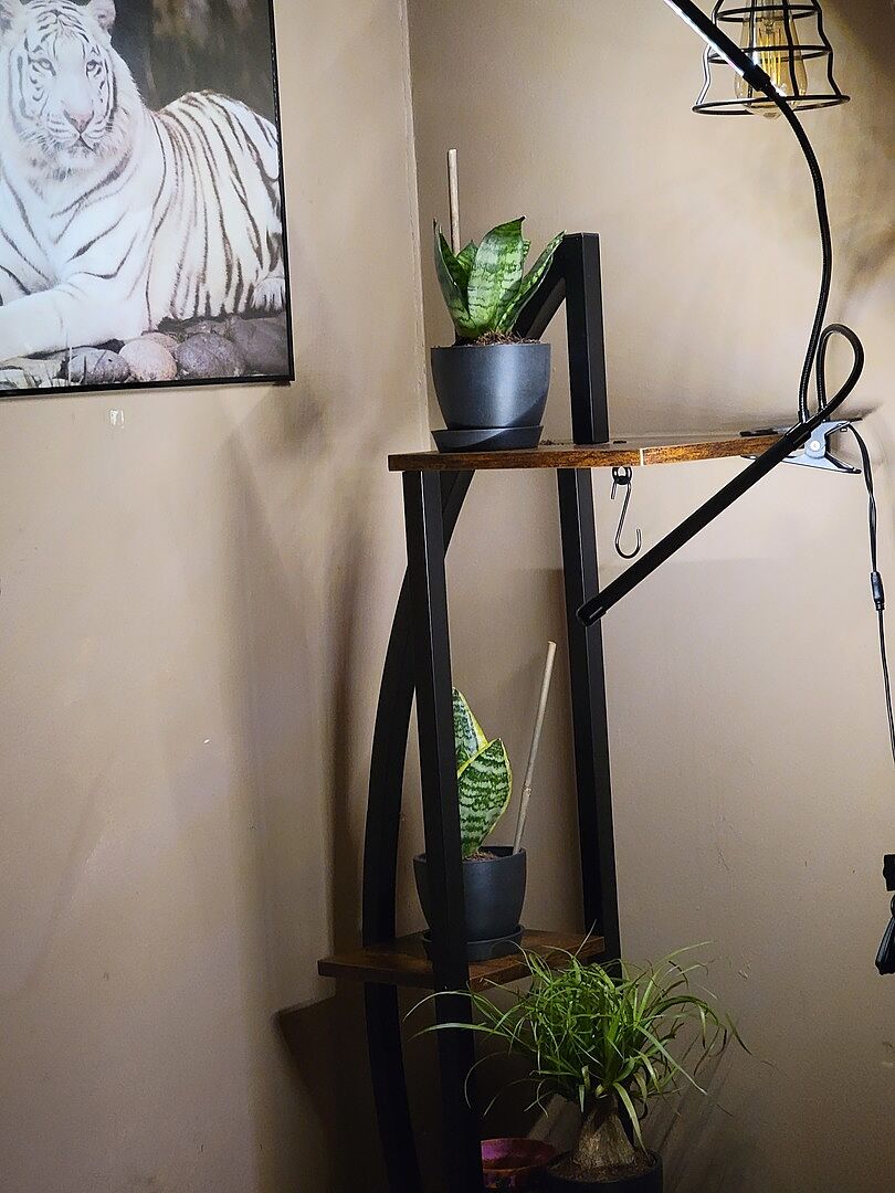 Customer photo
