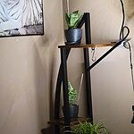 Image of Review by Jody K. on  8 Apr 2023 number 1
