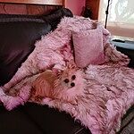 Image of Review by Colleen W. on 16 Apr 2023 number 2