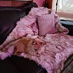 Image of Review by Colleen W. on 16 Apr 2023 number 1