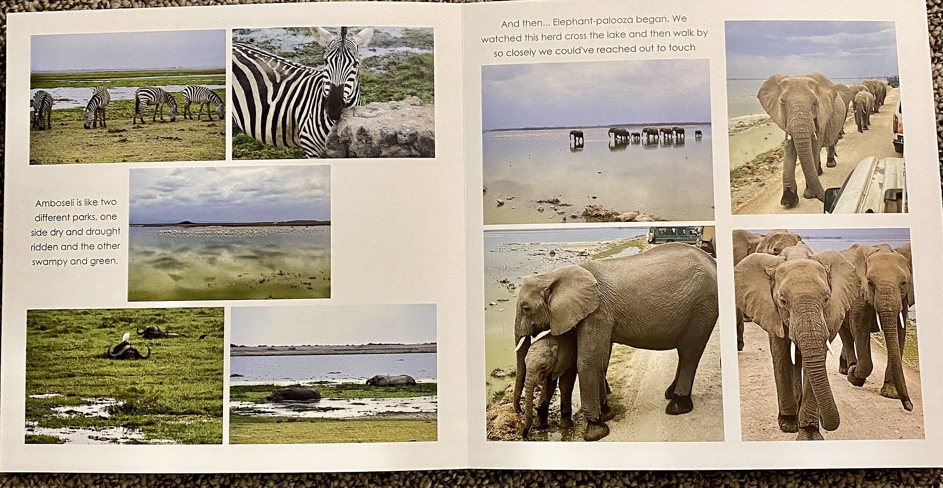 新品　日本製+Documentary PHOTO BOOK 2019-2020 日本製+Documentary PHOTO BOOK 2019-2020