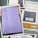 Image of Review by Emily T. on 25 Apr 2023 number 1