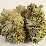 Image of Review by Sterling T. on 26 Apr 2023 number 1