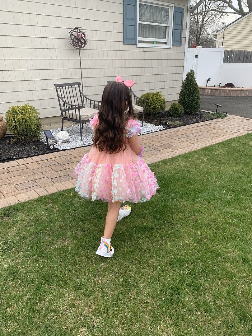 3D Butterfly Puffy Sleeve Dress