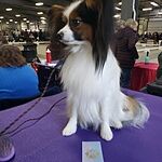 Image of Review by Judy B. on  1 May 2023 number 1