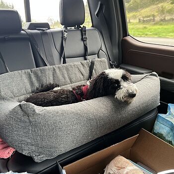 PupProtector™ Memory Foam Dog Car Bed Awesome product! Our dog is