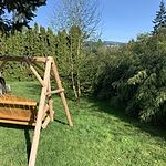 Image of Review by Jolea H. on 13 May 2023 number 2