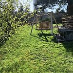 Image of Review by Jolea H. on 13 May 2023 number 1