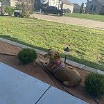 Image of Review by Melinda A. on 17 May 2023 number 2