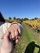 Beautiful engagement ring