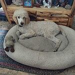 Image of Review by Penny V. on 20 May 2023 number 3