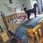 Image of Review by Penny V. on 20 May 2023 number 6