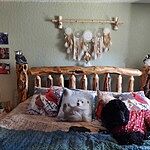 Image of Review by Penny V. on 20 May 2023 number 1