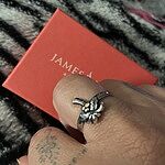 Tropical Palm Tree Ring