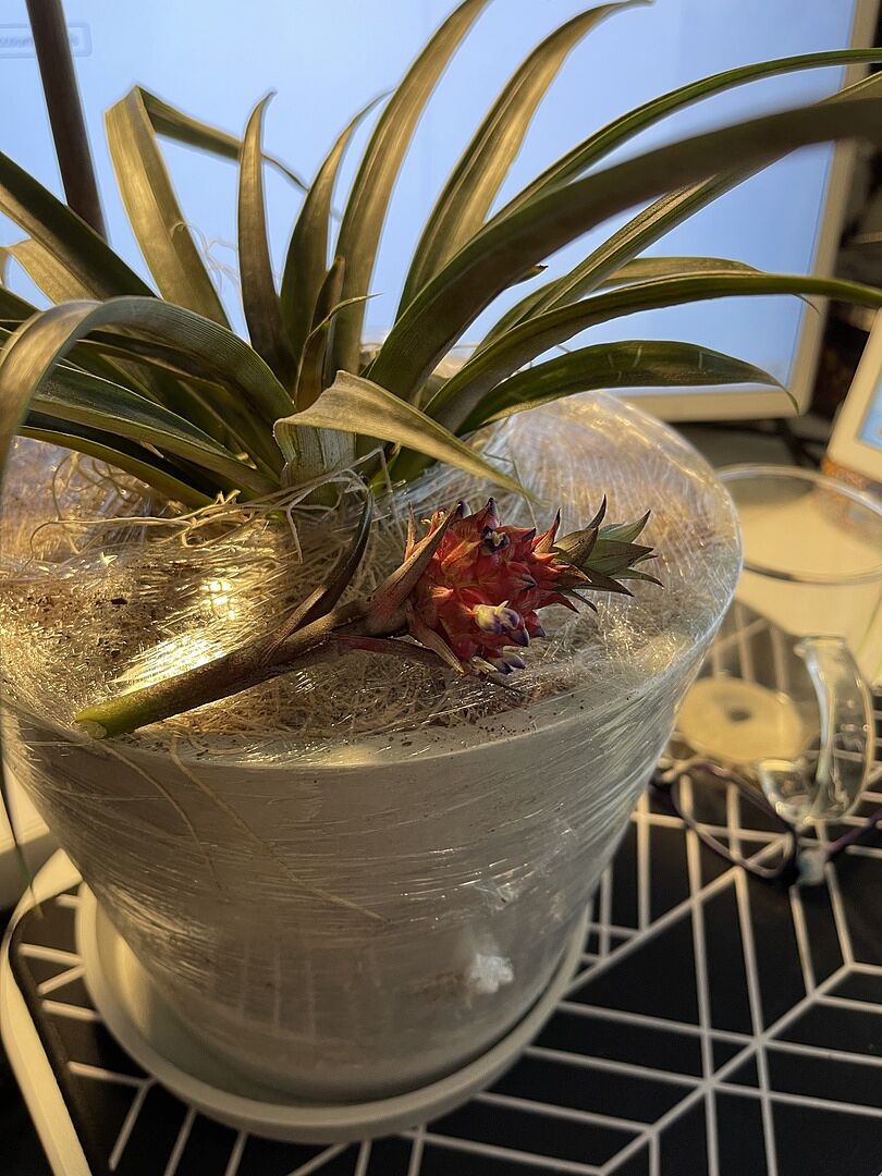 Customer photo