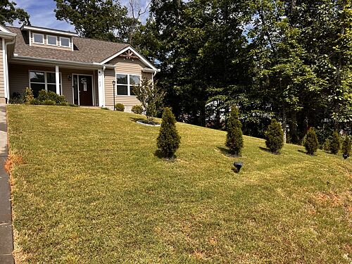 A lawn in Taylors, SC