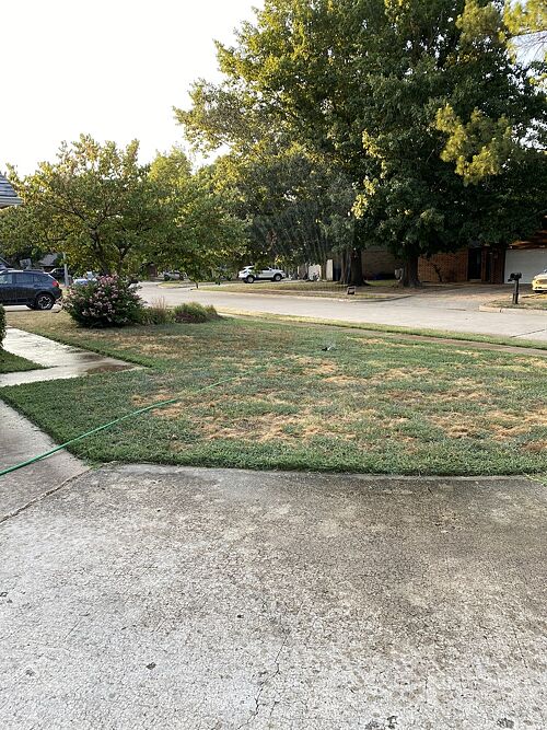 A lawn in Norman, OK