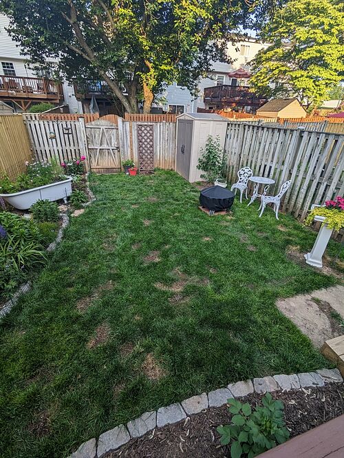 A lawn in MD