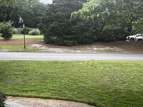 A lawn in NC