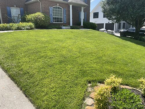 A lawn in Knoxville, TN