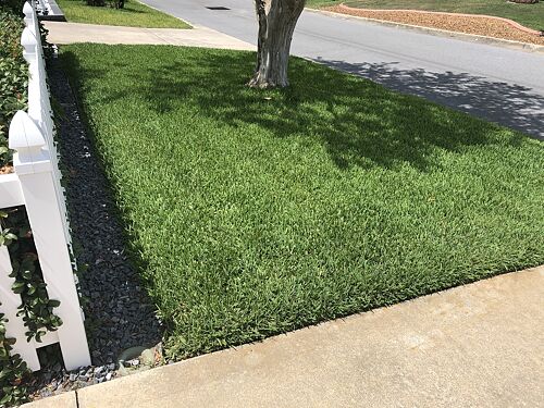 A lawn in The Villages, FL