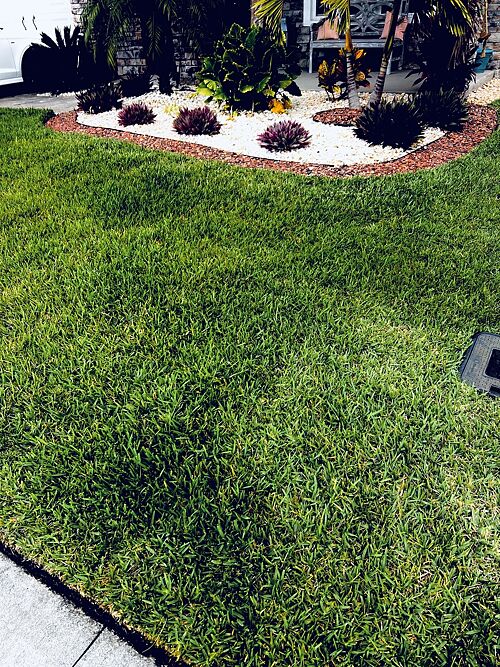 A lawn in Wesley Chapel, FL